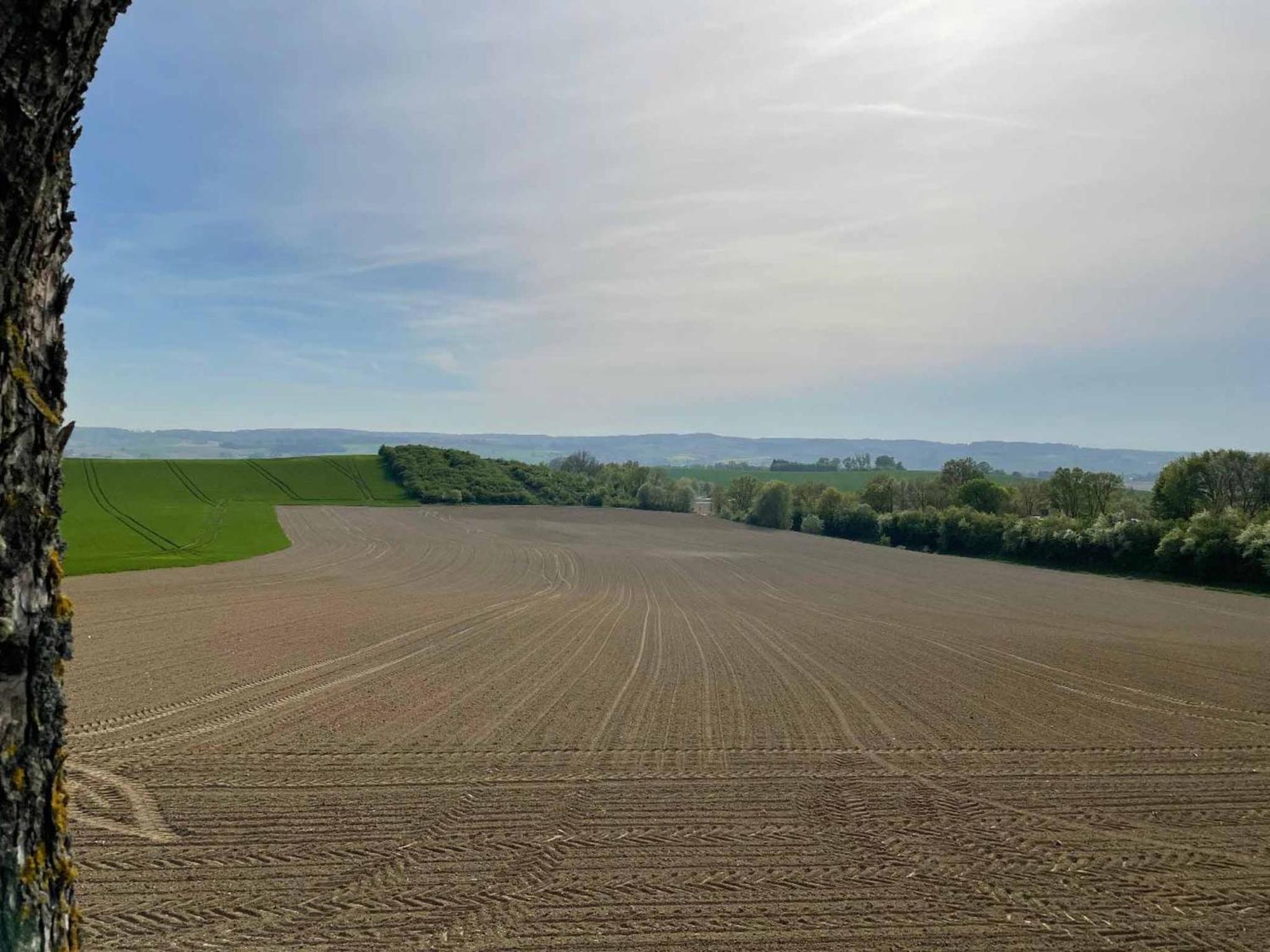 Appartement Am Brunnenplatzl Mit Bademantelzugang Bad Griesbach  Buitenkant foto