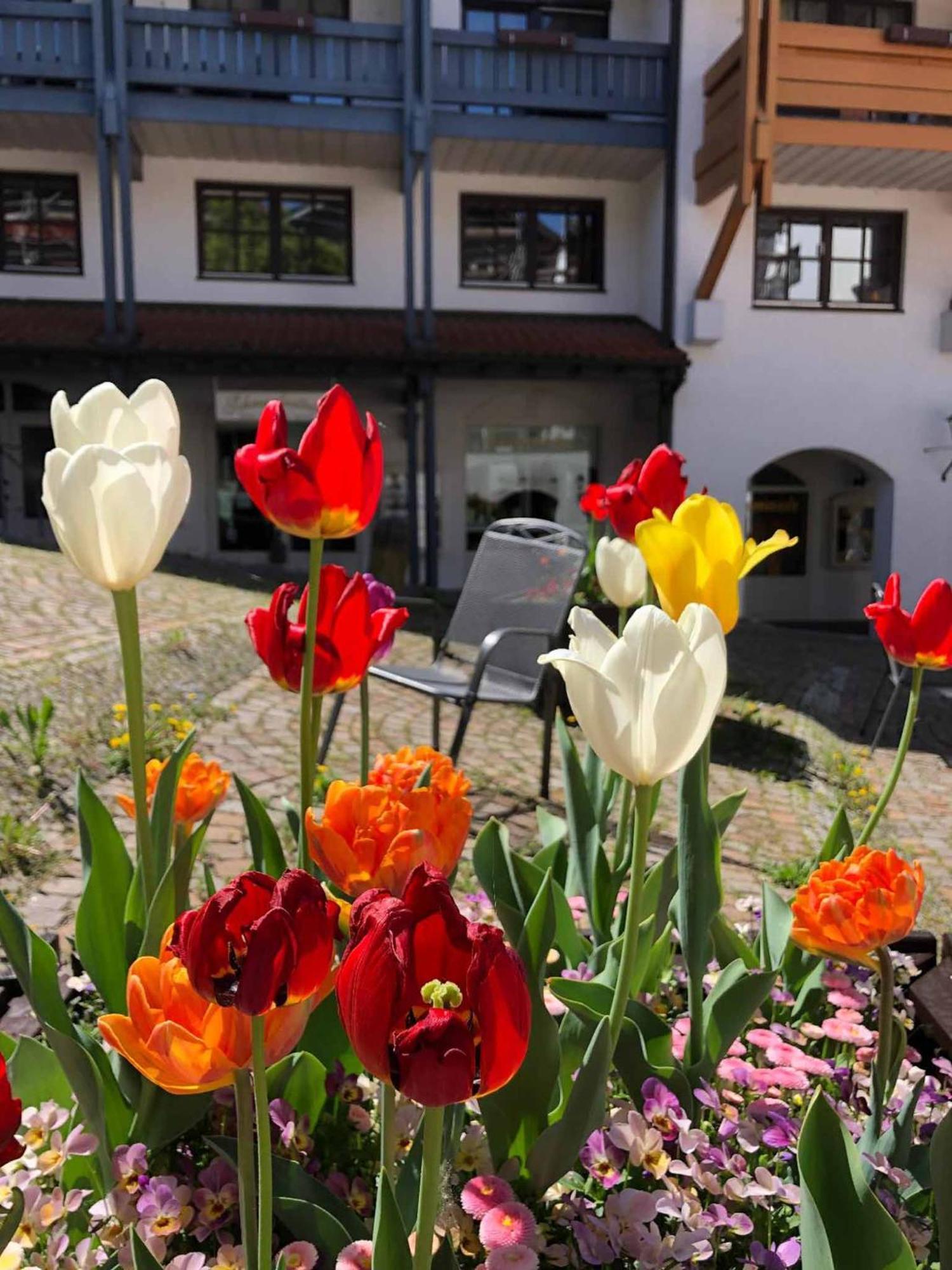 Appartement Am Brunnenplatzl Mit Bademantelzugang Bad Griesbach  Buitenkant foto